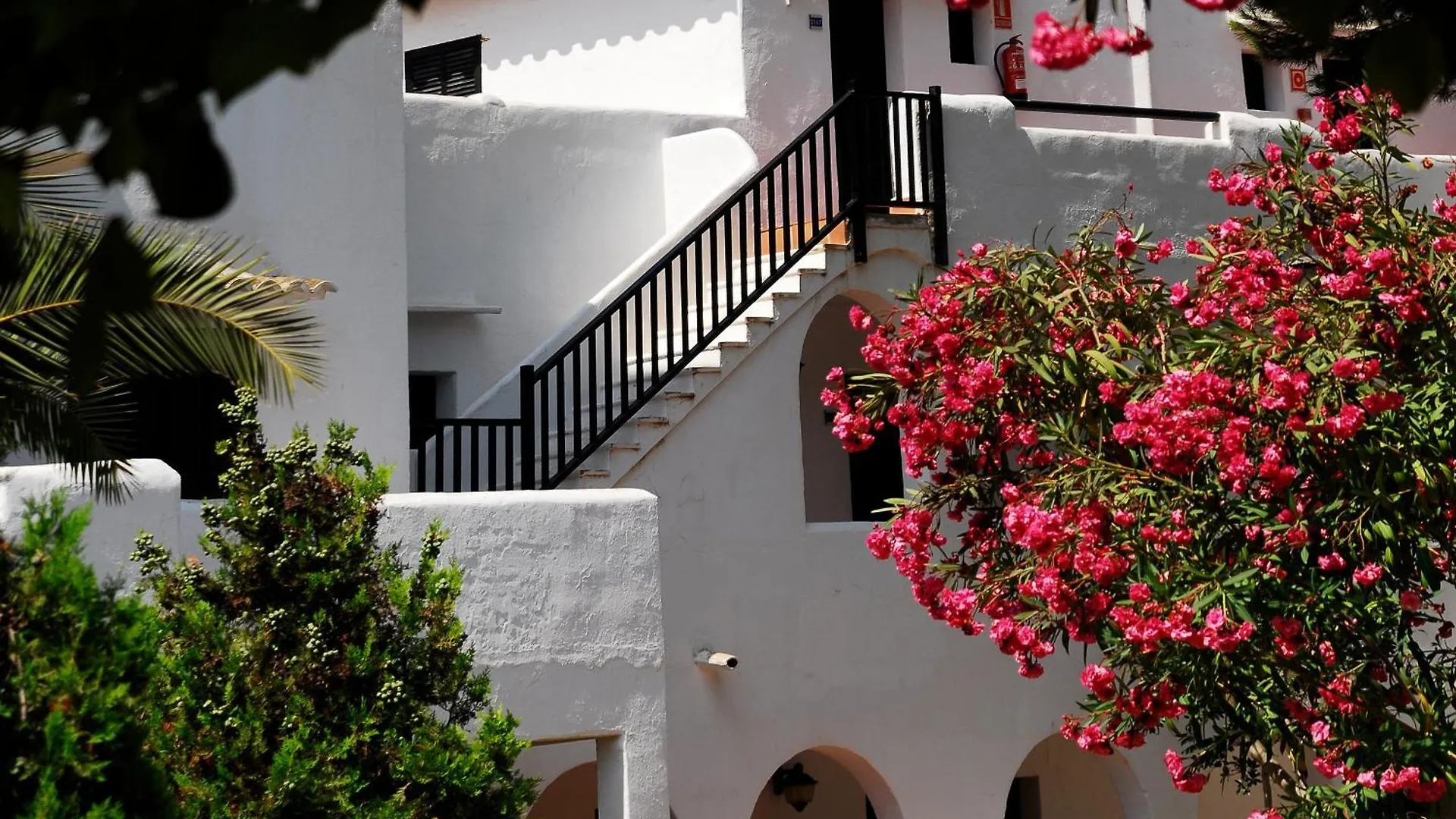Hotel Palia Dolce Farniente 3 Sup Cala D´Or 3*,